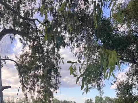 Campo en Venta en Cañuelas, Partido de Cañuelas