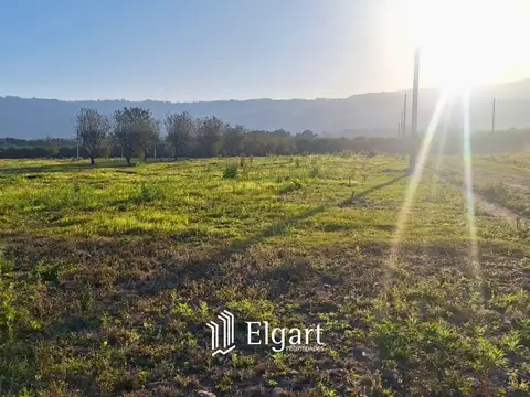 Terreno - Venta - Argentina, Villa Carmela