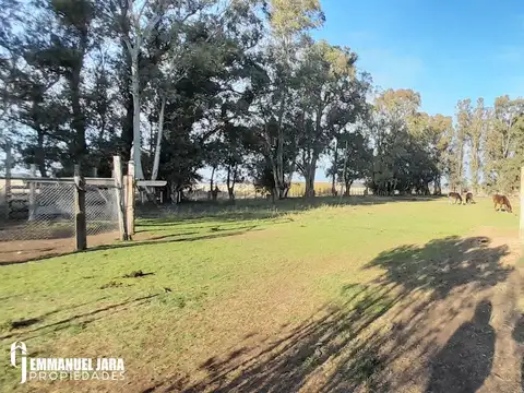 Ruta