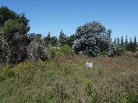 Terreno Lote  en Venta en Diego Gaynor - Exaltación de la Cruz