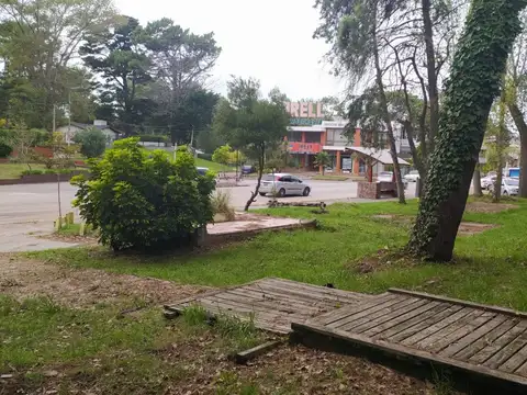 Local comercial 810m2 lote y 330m2 cub - Zonif C4/G