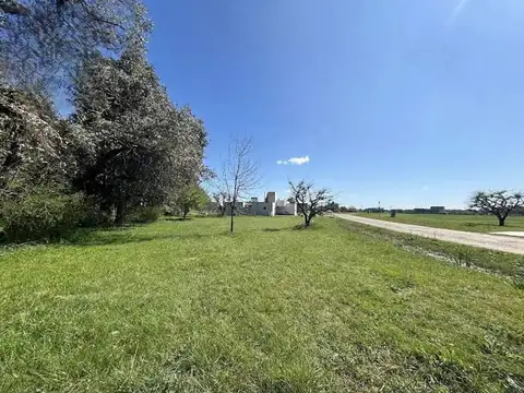 Terreno en Venta de 1043,0 m2