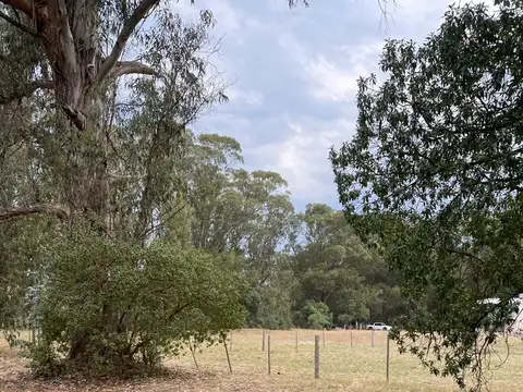 terreno sobre 181 y 62