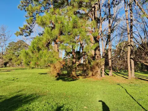 Terreno en Venta en Amarylis, Exaltacion de la Cruz