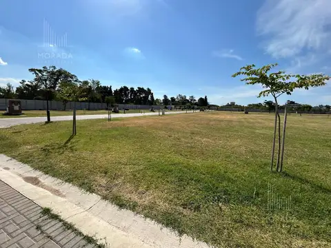 Terreno en El Olivar