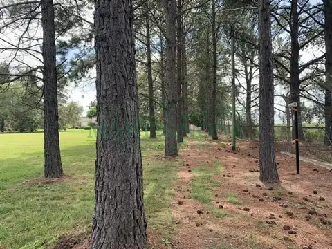 Excelente Terreno 4166m2 - La Escondida Manzanares Pilar