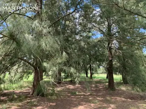 Excelente Terreno 4166m2 - La Escondida Manzanares Pilar