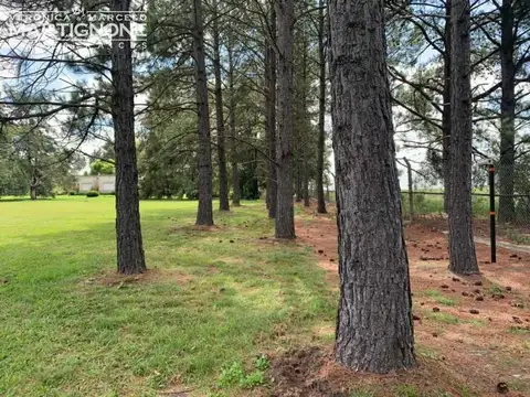 Terreno en Venta de 4166,0 m2