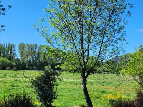 Terreno en Venta de 804,0 m2