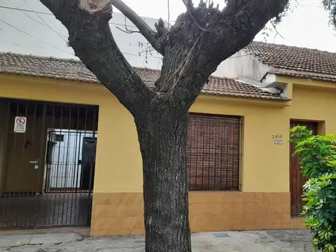 Roma 3000