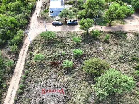 Golden Hill Sin Nombre