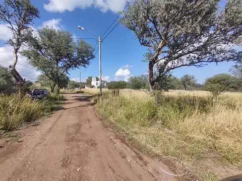 Golden Hill Sin Nombre