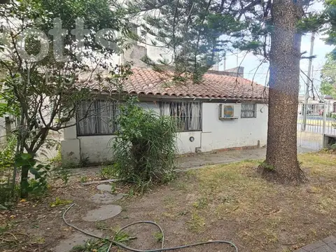 El Rosedal  al 300