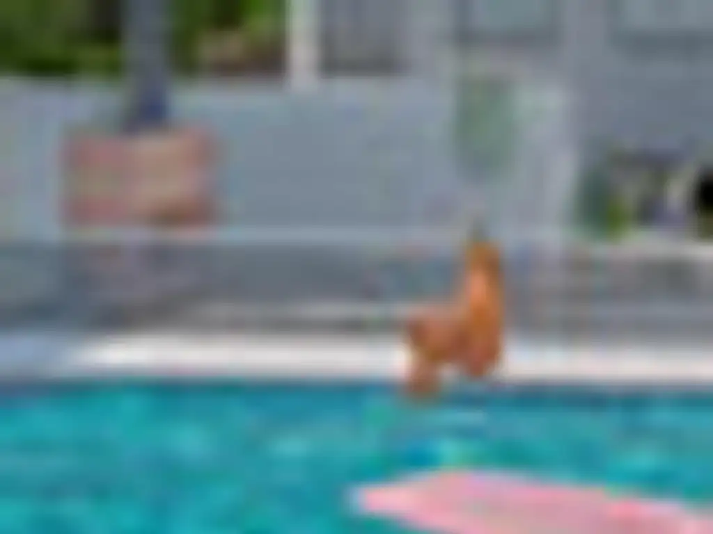 Scuba 47 - Entrega Julio 2022