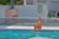 Scuba 47 - Entrega Julio 2022