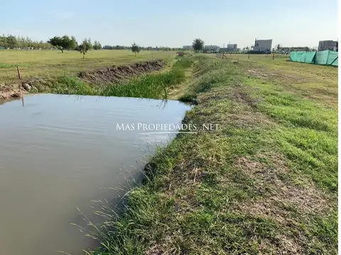 Terreno en Venta 50  mts Frente