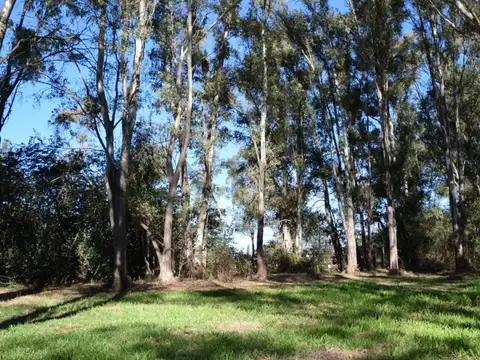 Terreno en Venta en Chacras Del Parana, USD 45.000
