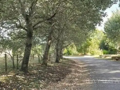 Terreno en Venta 50  mts Fondo