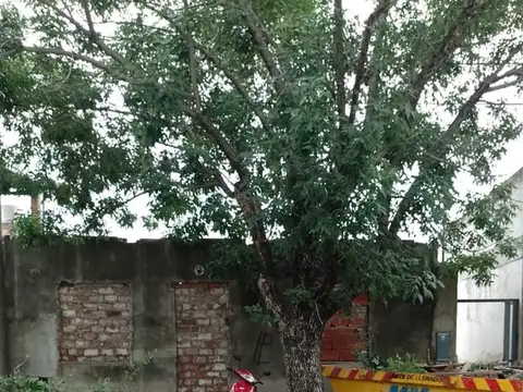 Terreno  en Maria Selva