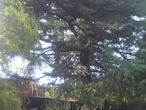 Terreno en Venta en La Reja, USD 37.000