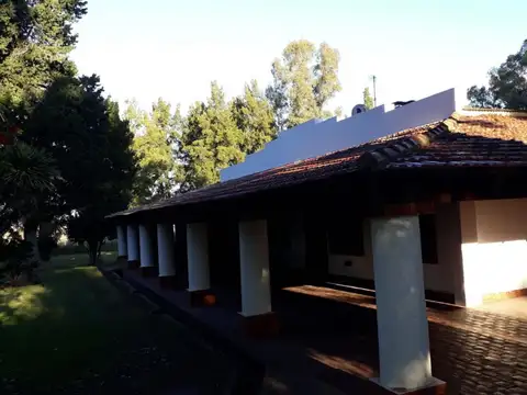 Campo - ALQUILER_TEMPORAL - Argentina, Saladillo
