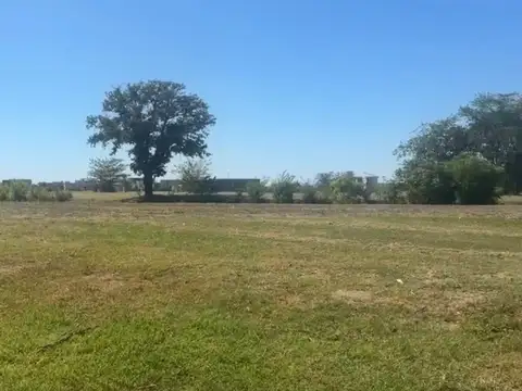 Guardar Ex Acceso el Pampero, La Garza, Ruta 58 km 16.9, B1865 San Vicente, Provincia de Buenos Aires 1000, Piso LOT