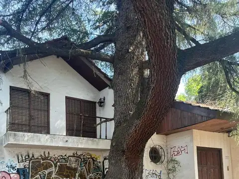 Pergamino 1300