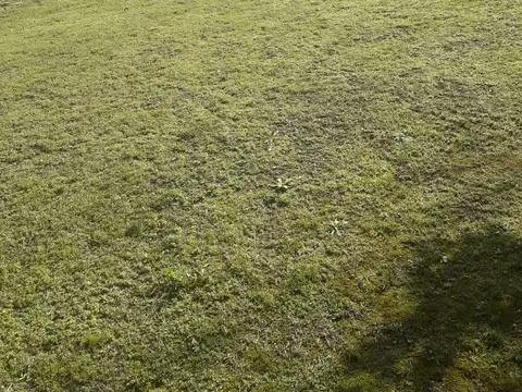 Av Primera Junta 2300