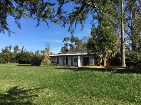 Campo 272 hectareas Lobos