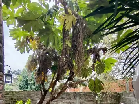 Oportunidad venta depto 2 ambientes san miguel muñiz c patio