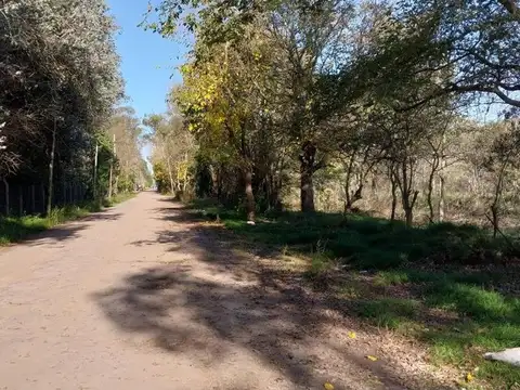 VENTA DE LOTE EN ALEJANDRO KORN DE 4527 M2