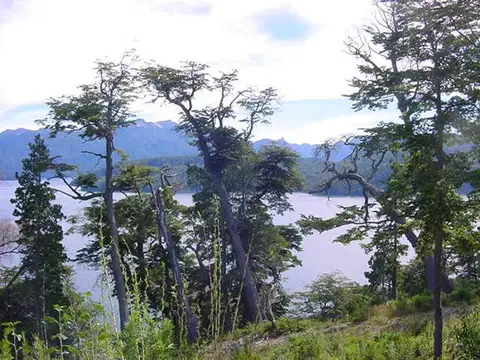 Las Pindas (villa Correntoso)