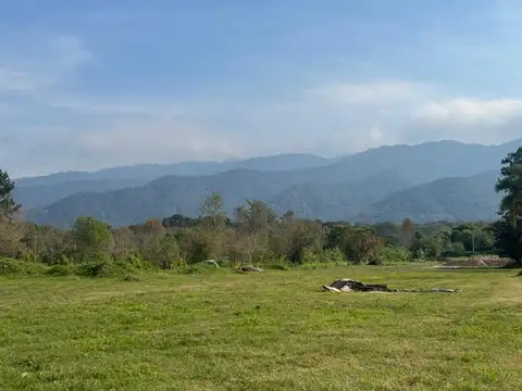 ayres de yerba buena