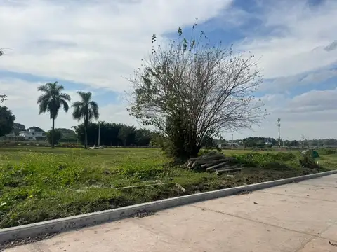 ayres de yerba buena