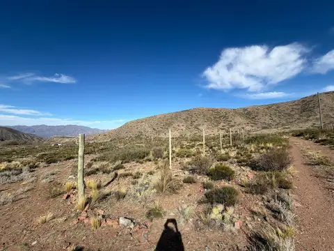TERRENO EN VENTA EN EL SALTO, POTRERILLOS