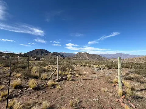 El salto