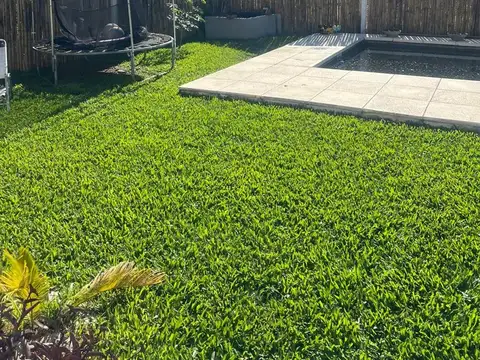 Leandro N. Alem Barrio San Jeronimo, Lote 100