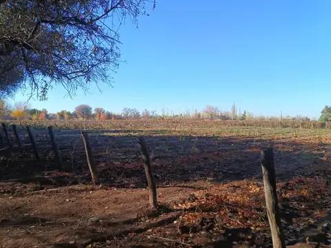 Terreno en Venta de 500,0 m2
