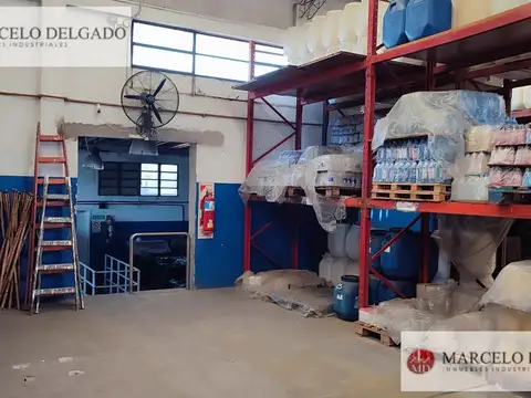 Arieta