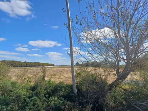 OPORTUNIDAD UNICA VENDE EN CAYASTA SANTA FE 3,2505 HECTAREAS AGRICOLAS.