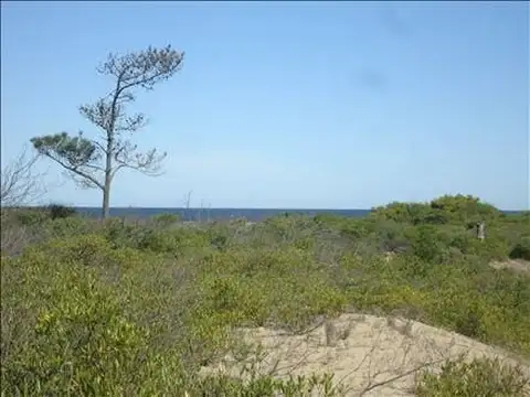 Terreno en Venta en Punta Ballena, USD 124.000