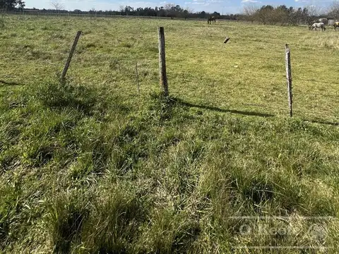 Chacra en venta de 1.5 has en Cañuelas