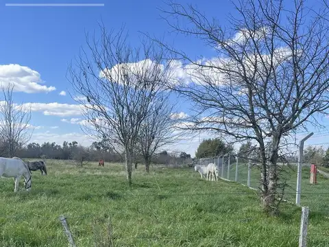 Chacra en venta de 6 has en Cañuelas