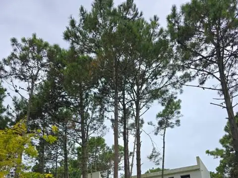 Casa en Alquiler Temporal en Carilo, Partido de Pinamar