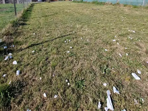 Terreno en Venta de 500,0 m2