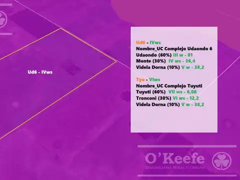 CAMPO MIXTO DE 84 HAS - 60 % AGRICOLA -  GENERAL BELGRANO