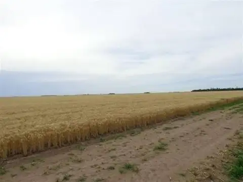 Casa en Alquiler A Estrenar