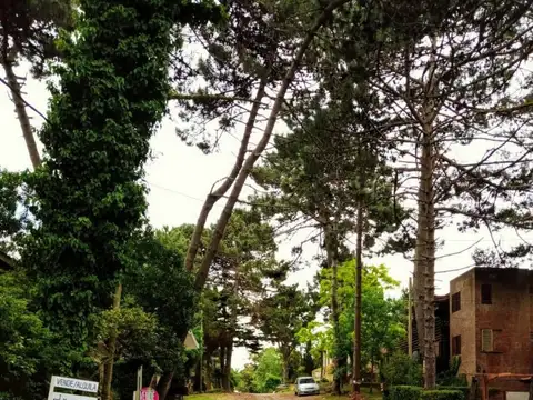 Departamento en Venta al Oeste