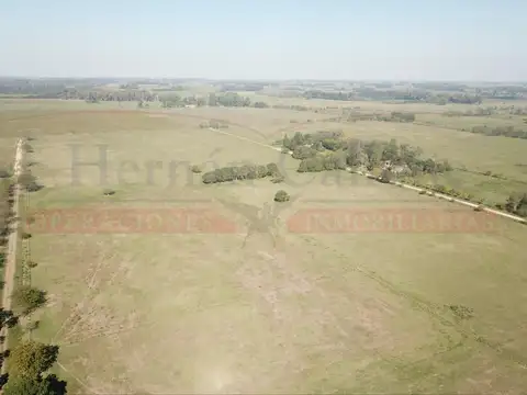 Terreno en Venta de 11509,0 m2
