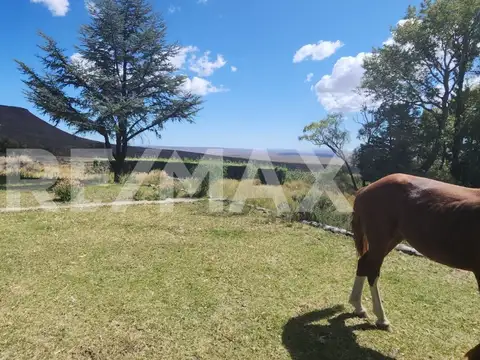 VENTA ESTANCIA CAMPO BARDA NEGRA NEUQUEN 7.392 HA